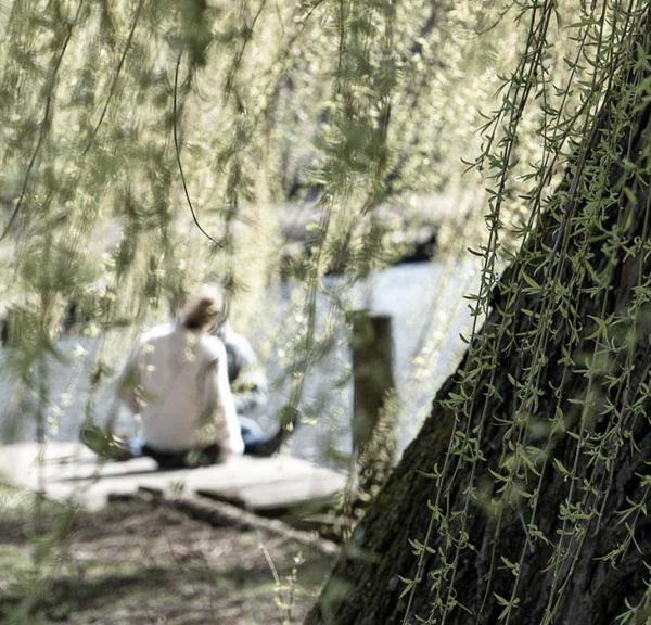 Couple sitting by the river behind tree