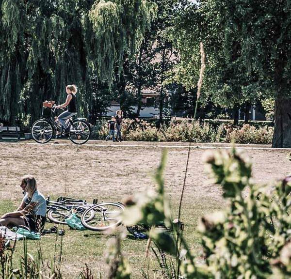 Relaxing in the park
