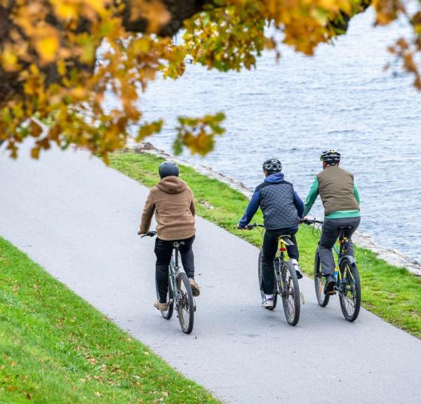 Family cycling in the woods
