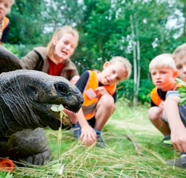 Odense ZOO skole