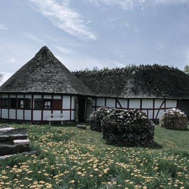 Dandelions and halftimbered houses at the Funen Village