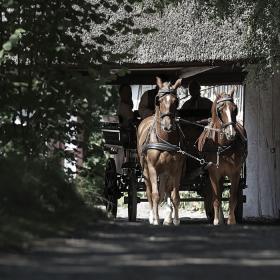 Carriage ride at The Funen Village