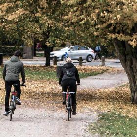 Two cyclists in the park autumn colours
