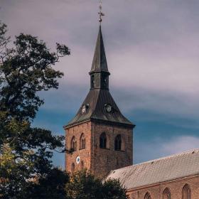 Odense Domkirke efterår
