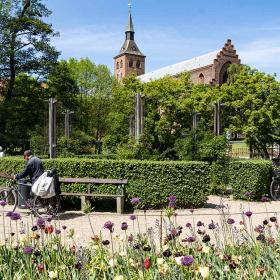 The Odense Cathedral as seen from the park