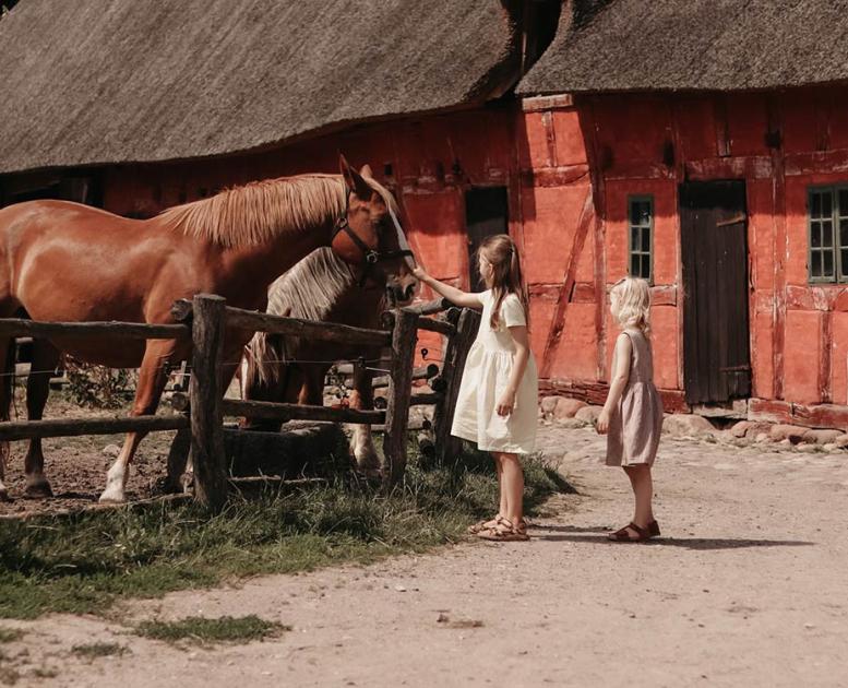 To piger i den Fynske Landsby klapper hestene