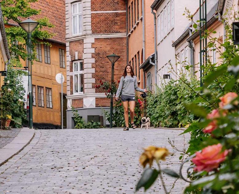 Mädchen mit Hund in Paaskestraede