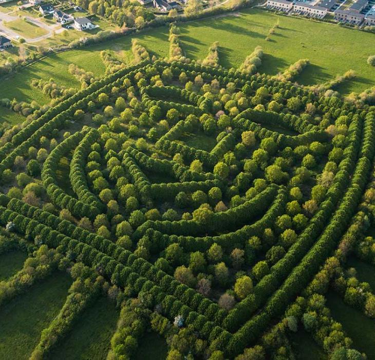 Hans Christian Andersen Forest
