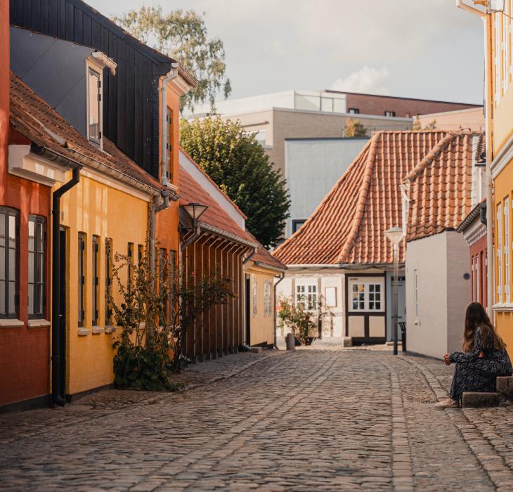 Bangs boder efterår 2025